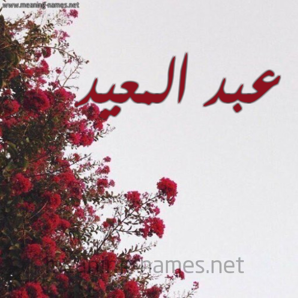 شكل 18 صوره الورد الأحمر للإسم بخط رقعة صورة اسم عبد المعيد ABD-ALMAID